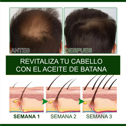¿Cabello débil, sin brillo o con caída? Dale fuerza desde la raíz 💥 Aceite de Batana®